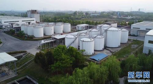 聚焦高質量發展丨湖北 生物制造點燃產業發展“綠色引擎”