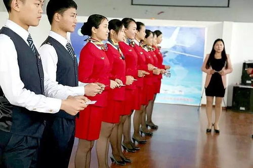 服務(wù)禮儀實(shí)戰(zhàn)訓(xùn)練指南 從理論到行動(dòng)的干貨寶典